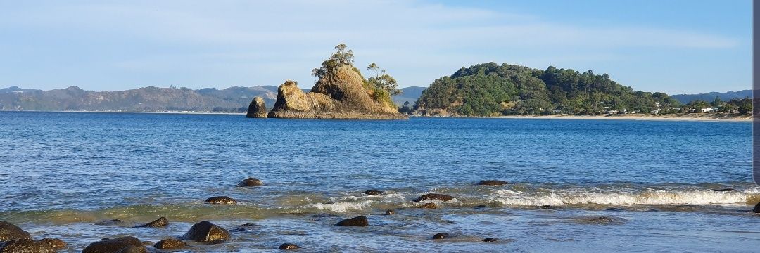 Laura Hermans banner