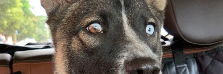AMontano97's profile banner image