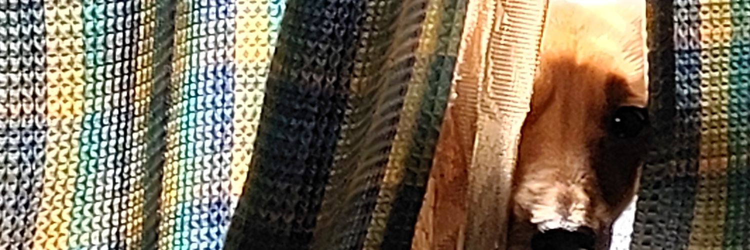のりたま banner