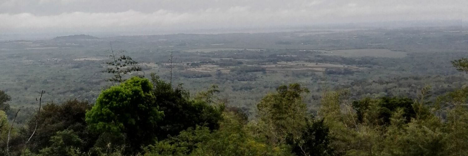 MiguelFS11's profile banner image