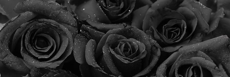 1nka___'s profile banner image