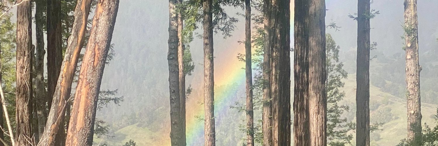 TimothyVollmer's profile banner image