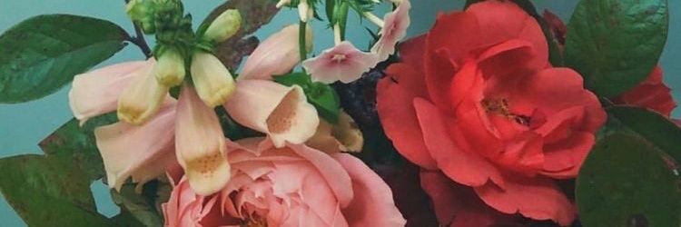 mariimut's profile banner image