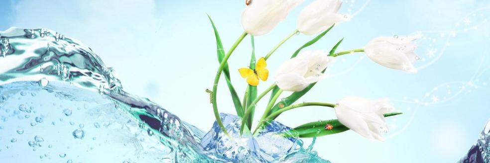 KizitoMD's profile banner image