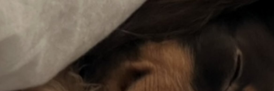 ぽてさら banner