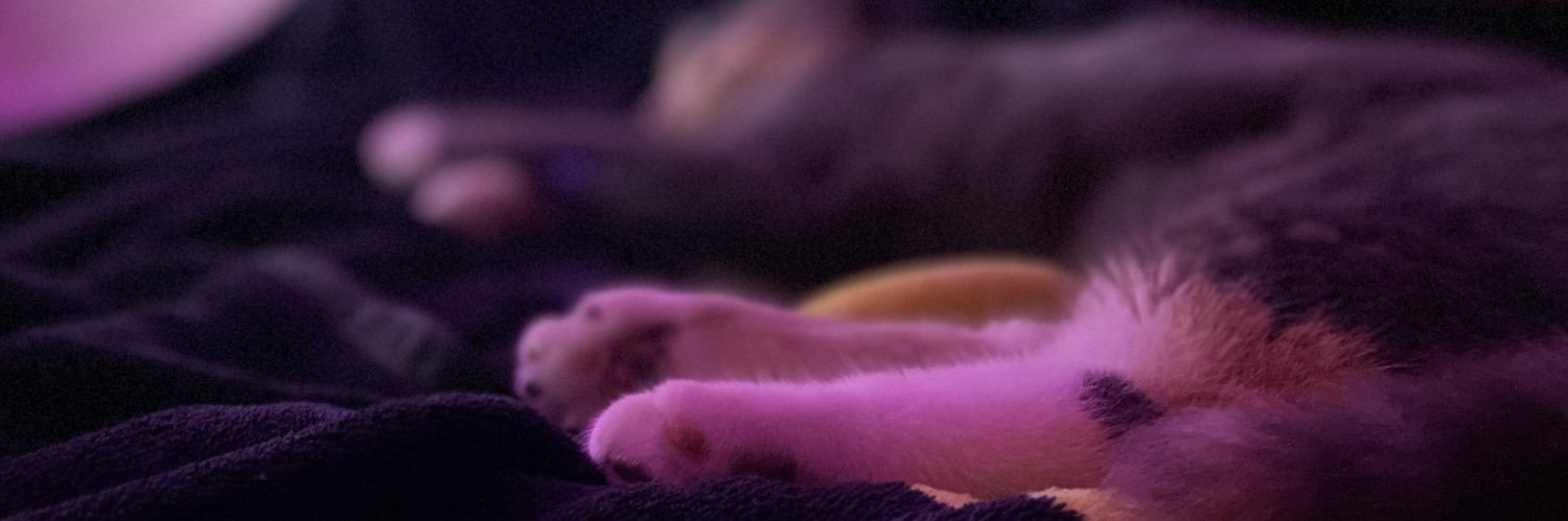 SvftMari's profile banner image