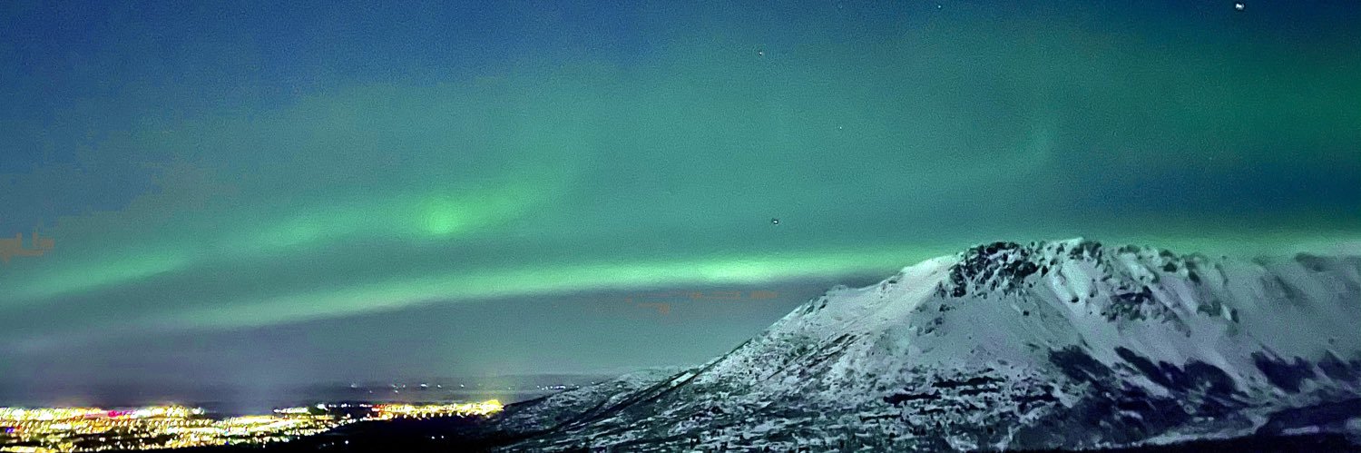 nburnettt's profile banner image