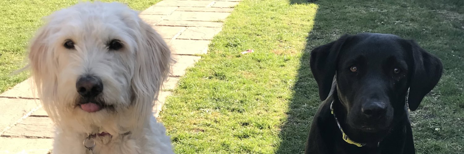 aimeecharb's profile banner image