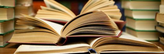 irwins_study's profile banner image