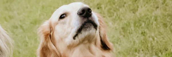 emilytrice Profile Banner