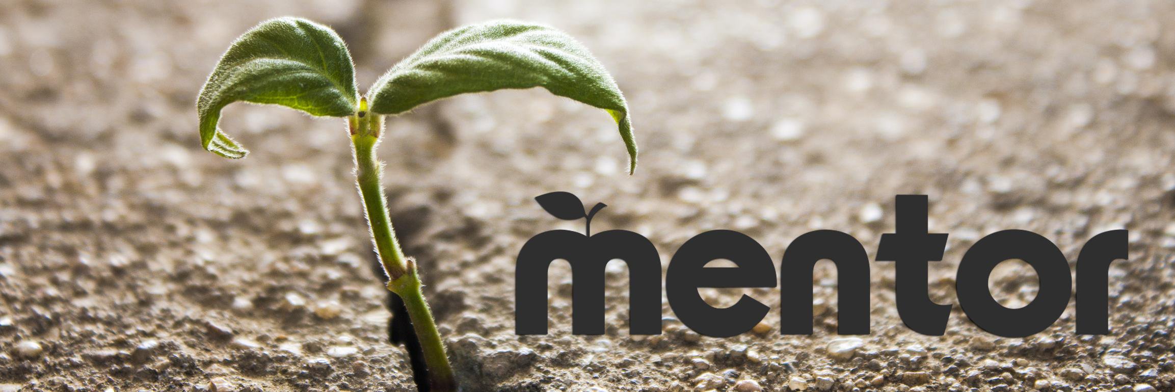 Mentor banner