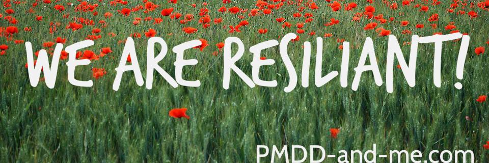 PMDDandMe's profile banner image