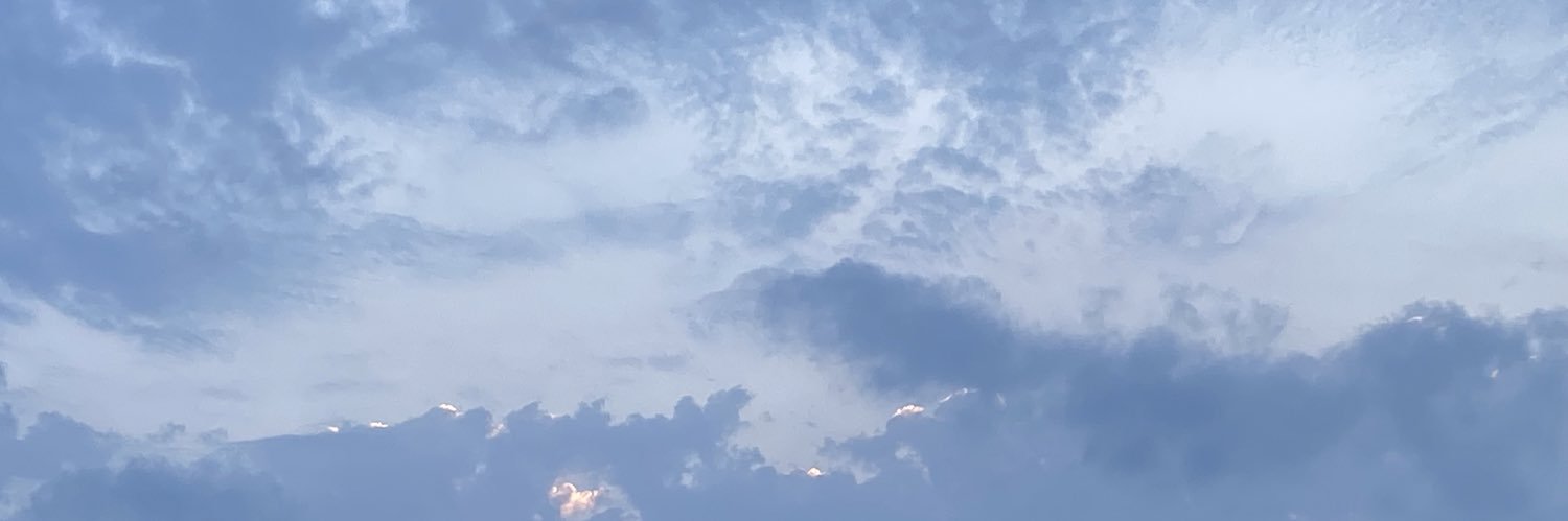 Sondousss's profile banner image