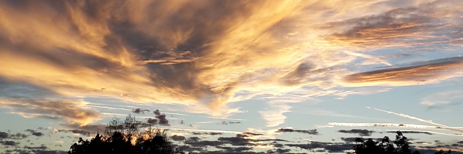 muenchnerkueche's profile banner image