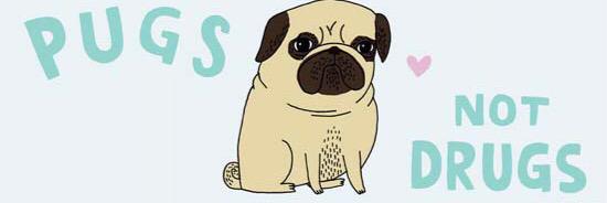 Pixie The Pug banner