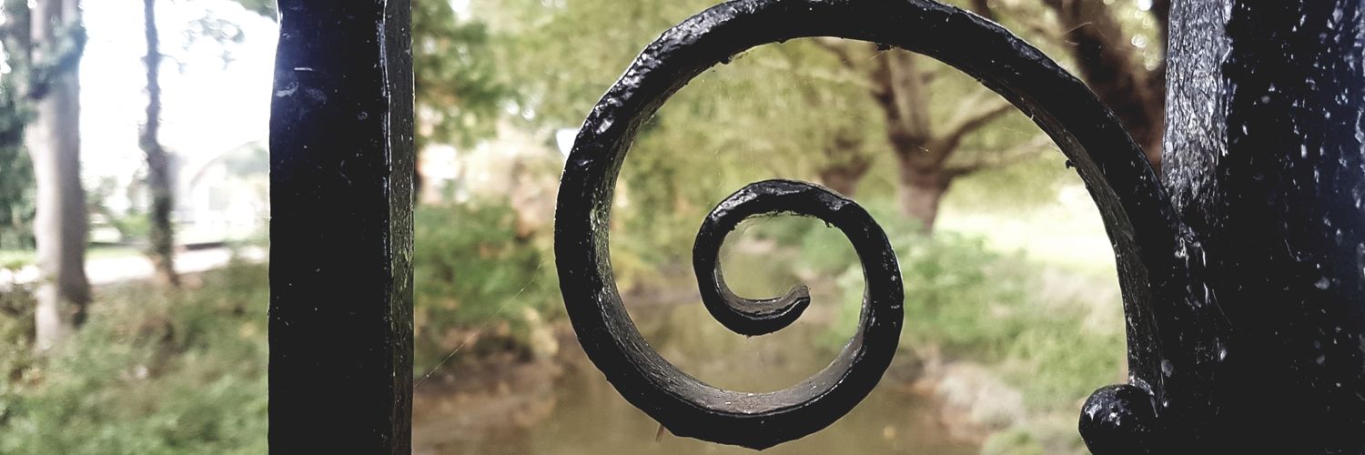 SarahMPol's profile banner image