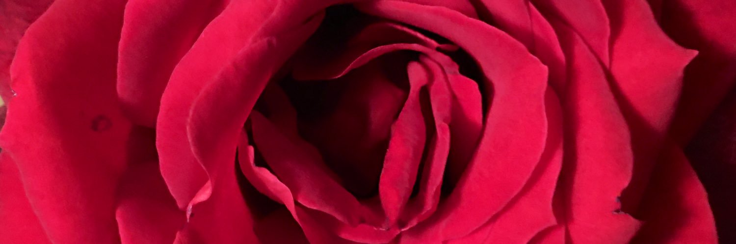 Rozz_Royal's profile banner image