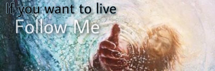 cautionlesslove's profile banner image