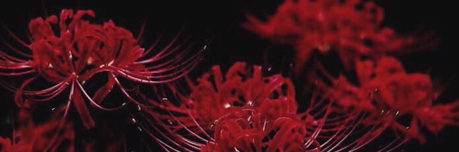 ♛𝔐♛ banner