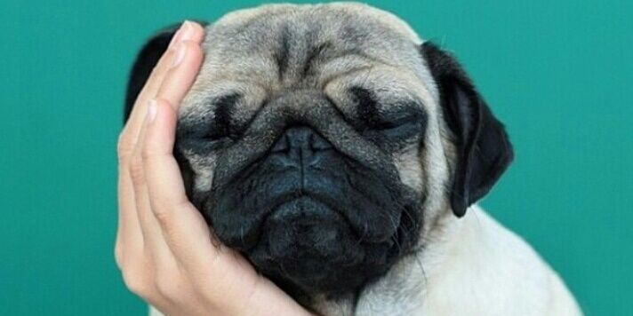 mariguani's profile banner image