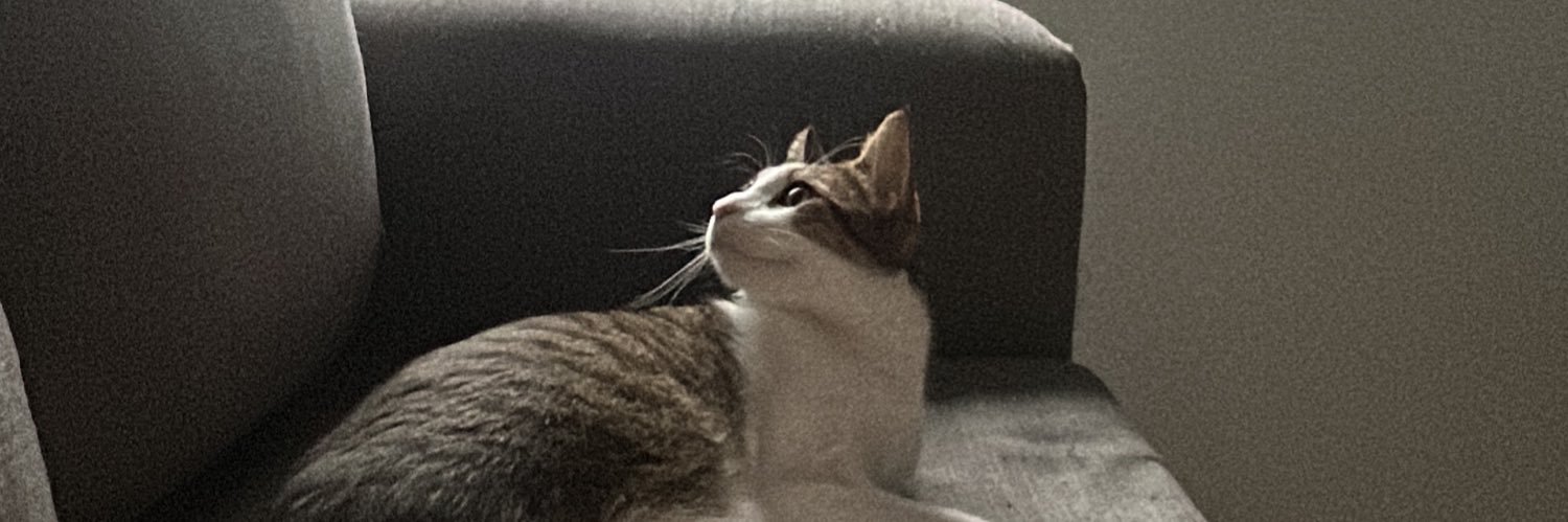 MiliCallisti's profile banner image
