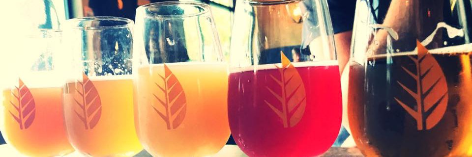 Livefreeandbeer's profile banner image