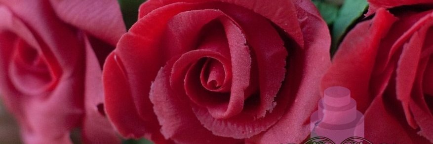 NameCakes's profile banner image