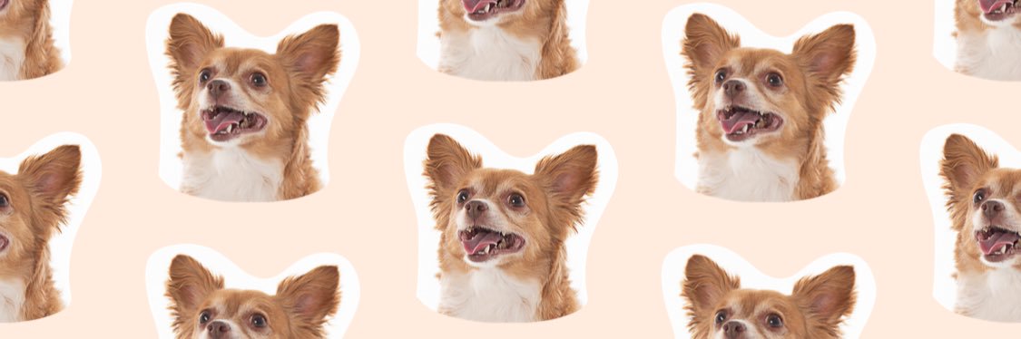 kristendmitruk's profile banner image