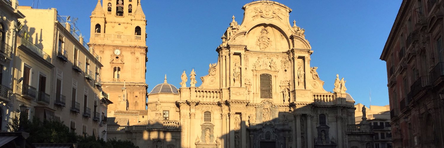 Raúl Sánchez Costa banner