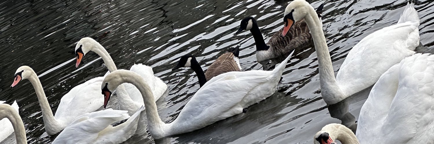 ℬℯ𝓃𝓉_𝒵𝒶𝓎ℯ𝒹 banner