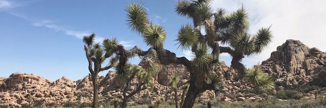 KassiBoche's profile banner image