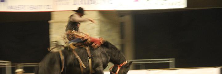 IndustryRodeo's profile banner image