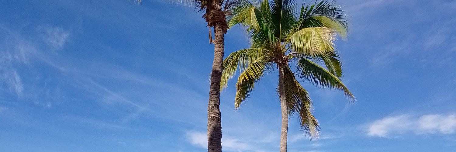 mercavall's profile banner image