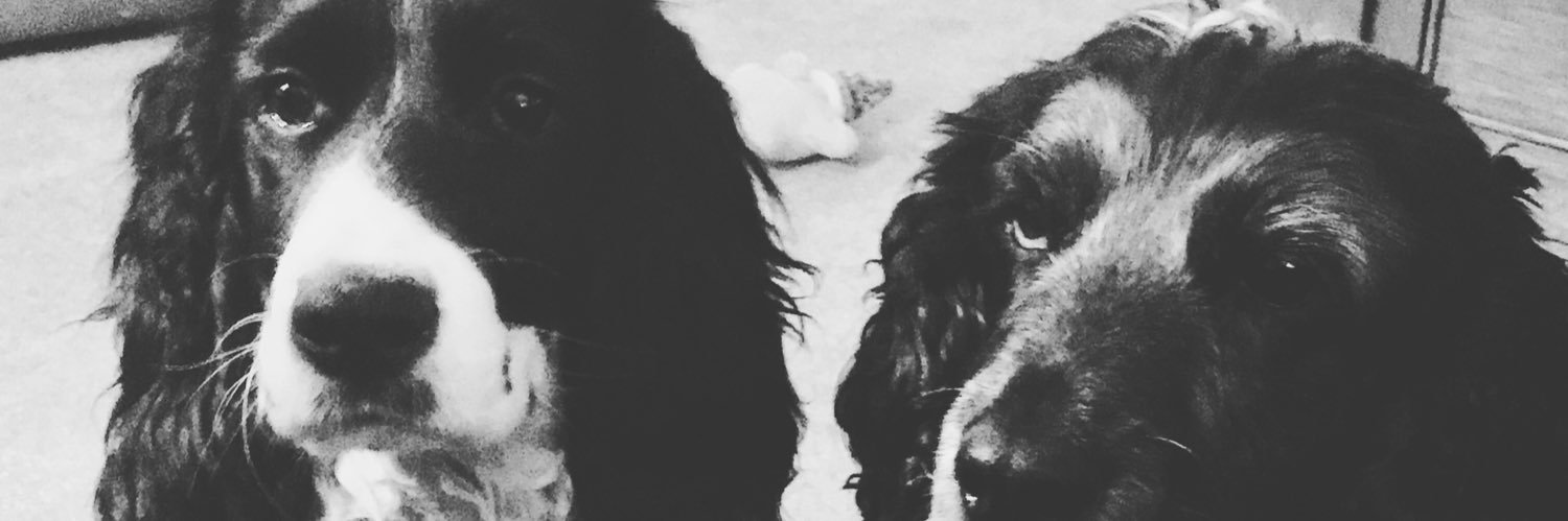 Rich_Pearman's profile banner image