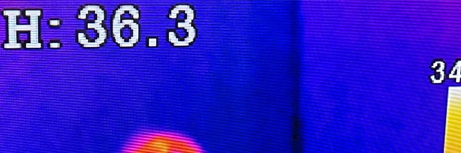 prynlada's profile banner image