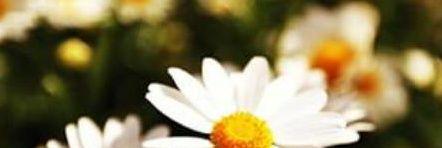 broplastic's profile banner image