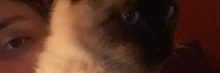 SolElgorreaga's profile banner image