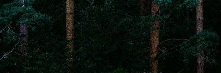 valdhum's profile banner image