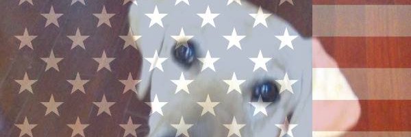 BridSheehan's profile banner image