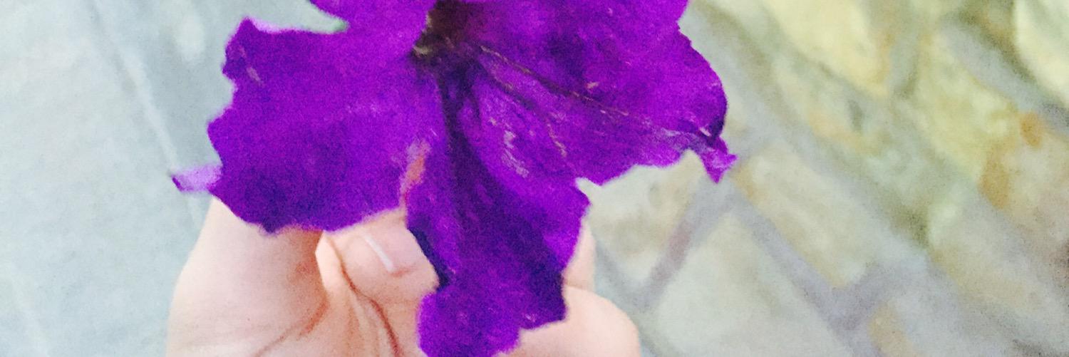 tanwarmj's profile banner image