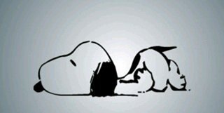 Matias_Alemany's profile banner image