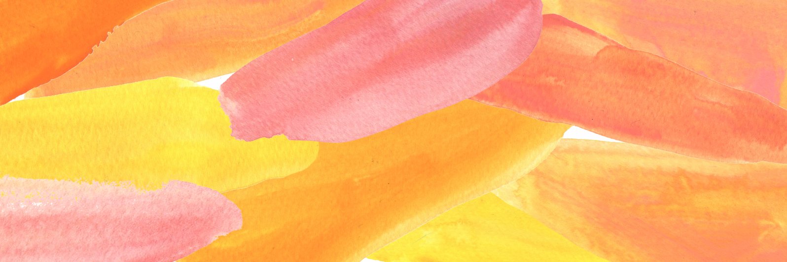 AliceMoloney's profile banner image