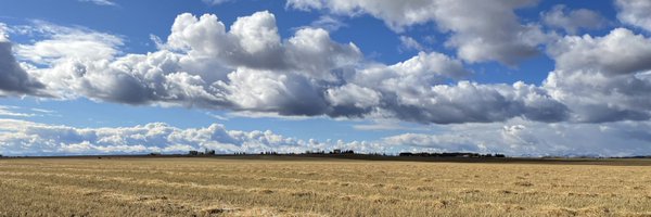 GroundWords Profile Banner
