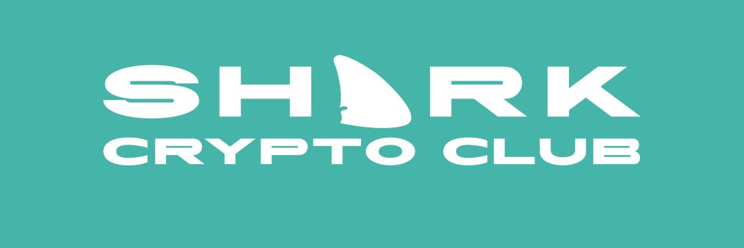 BigSharkNft's profile banner image