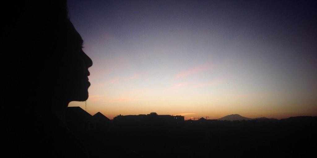 fafa_shiro's profile banner image
