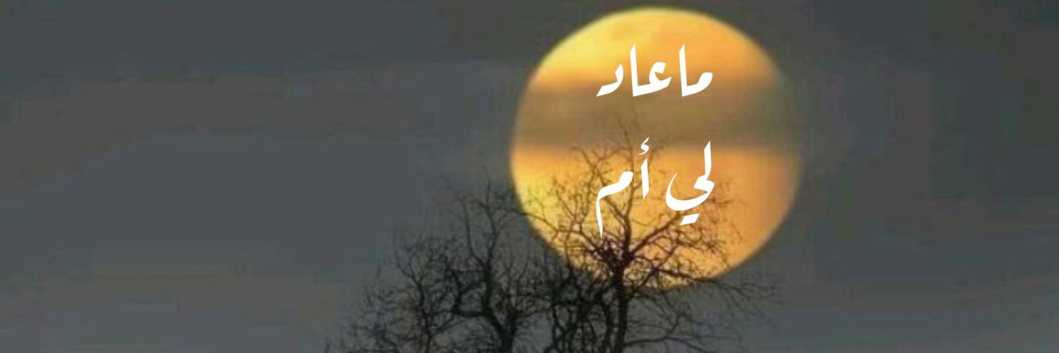 mhmd7adi's profile banner image