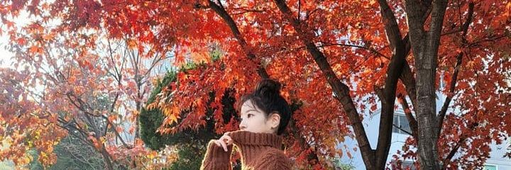 tofucuddles's profile banner image