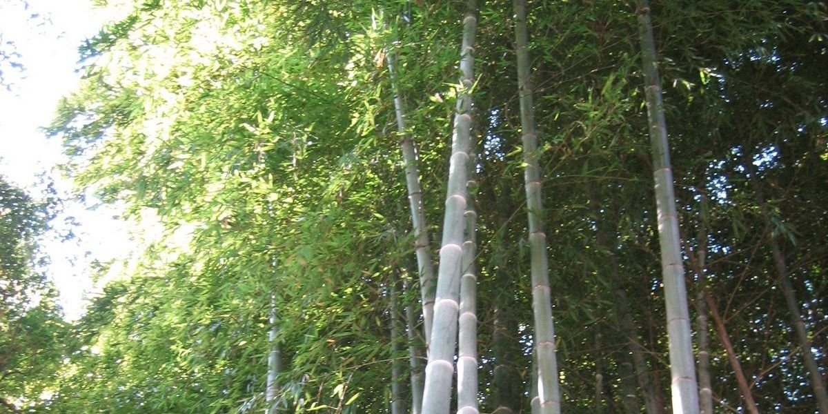 MatthWeber's profile banner image