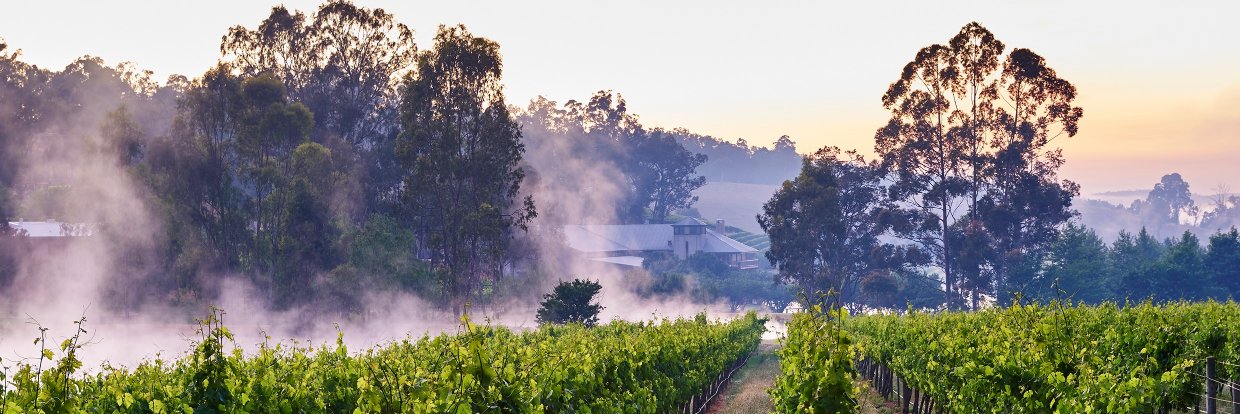 millbrook_fwg's profile banner image