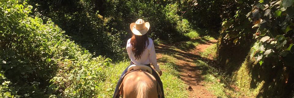 IsabelHgz's profile banner image